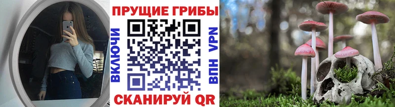 гидра рабочий сайт  Агрыз  Галлюциногенные грибы MAGIC MUSHROOMS 